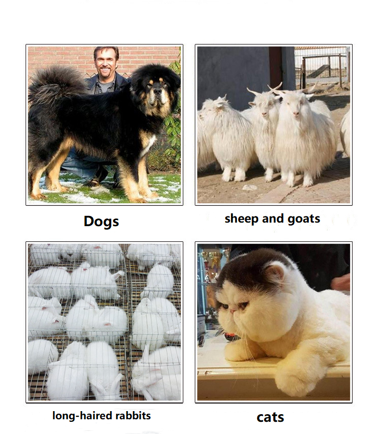 2298 batteridrevet kjæledyrklipper