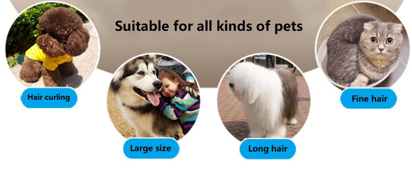 A60 usb trådløs kjæledyrklipper