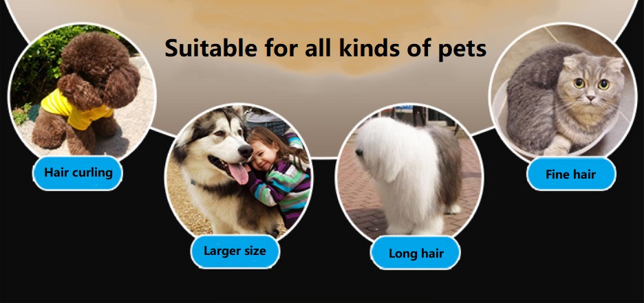 P65 usb trådløs kjæledyrklipper